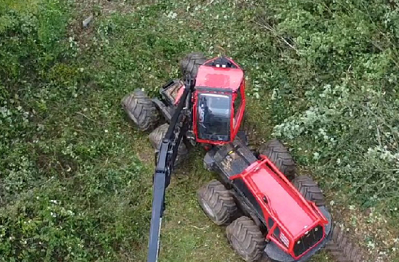 Renaturation du Dipbech (partie 1)