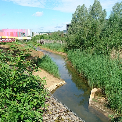 Renaturation du Dipbach - Quartier Nonnewisen