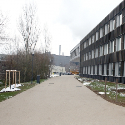 Aménagements extérieurs du lycée provisoire