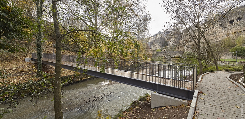 Passerelles et chemin d'accès Abbaye de Neumünster